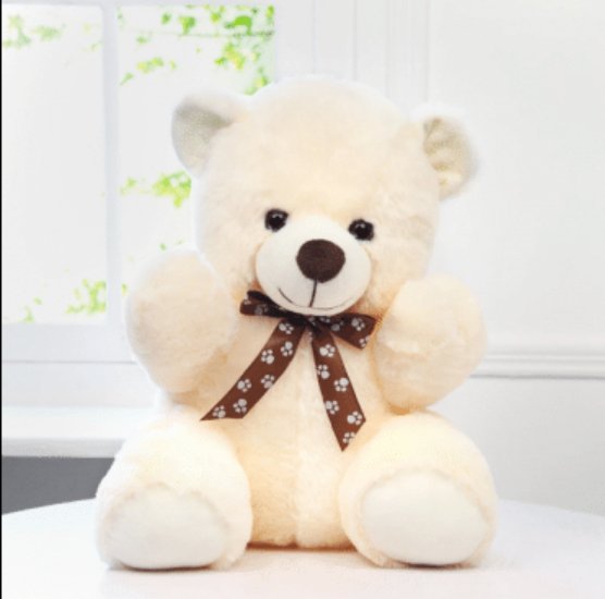 Love Combo Teddy Bear