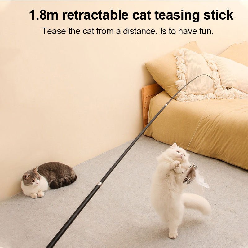 Pet Toy Cat-teasing Stick