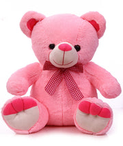 Cute Sitting Teddy
