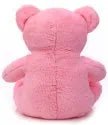 Cute Sitting Teddy