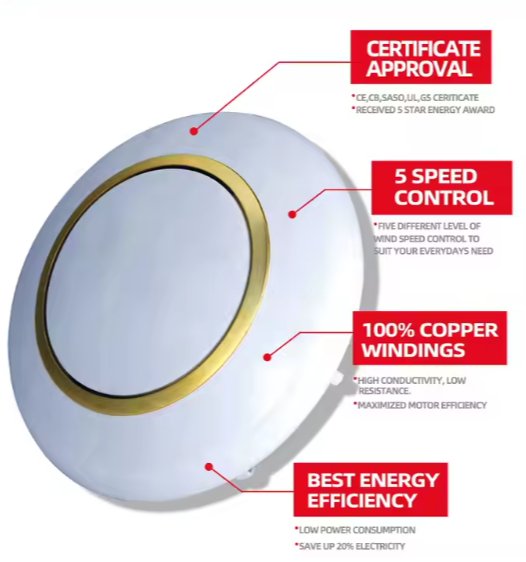 Electric Ceiling Fan