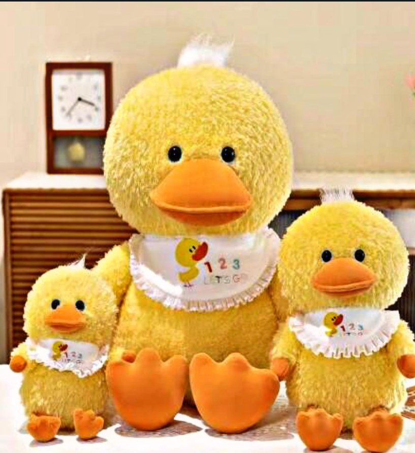 Fluffy Duck Plush