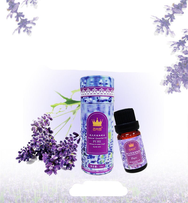 Silent Jellyfish Elf Moisturizing Humidifier