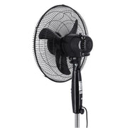 Stand Fan