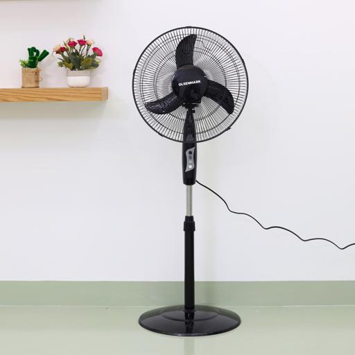 Stand Fan