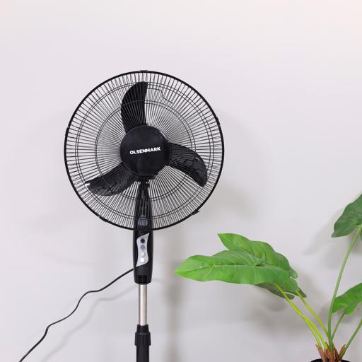 Stand Fan