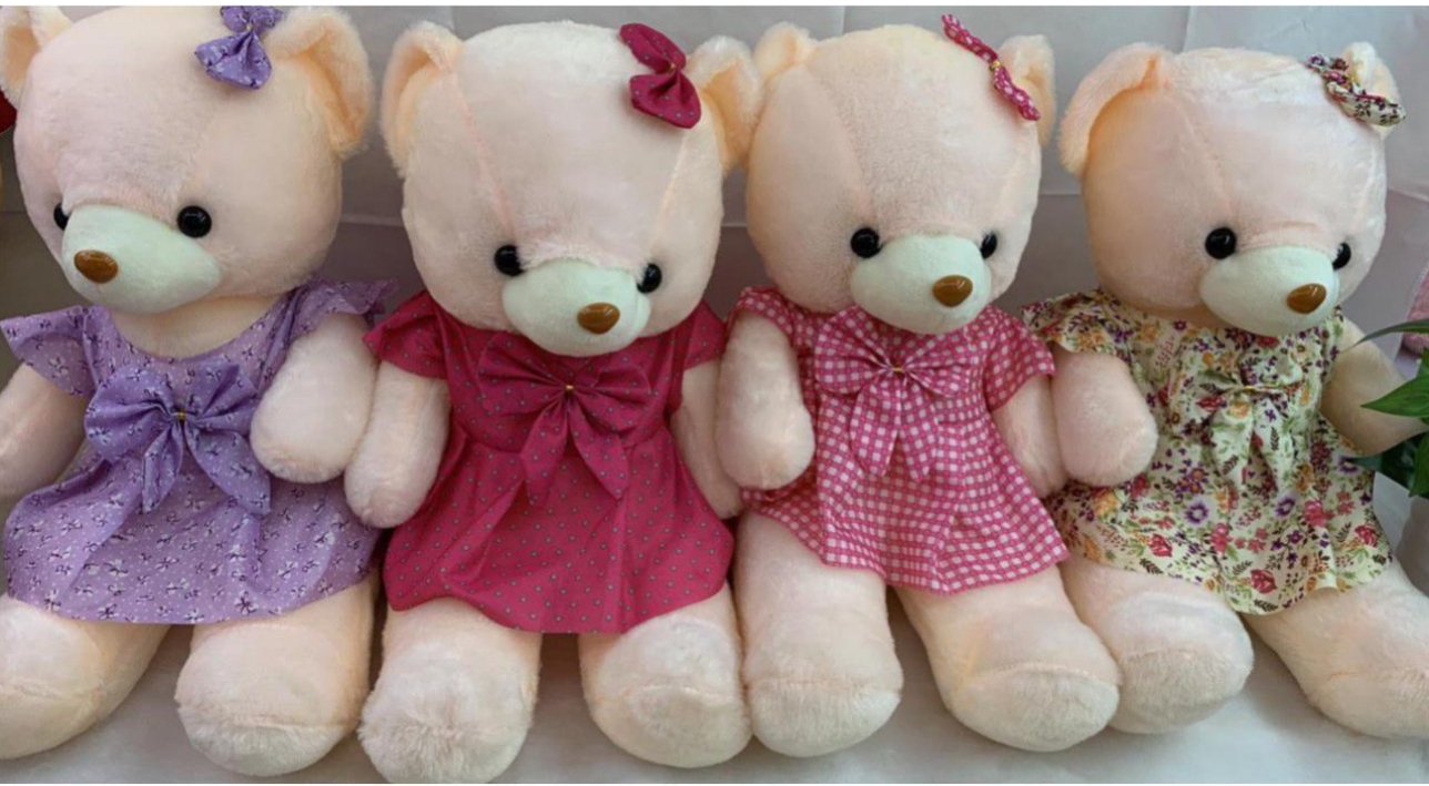 Teddy Bear Plush