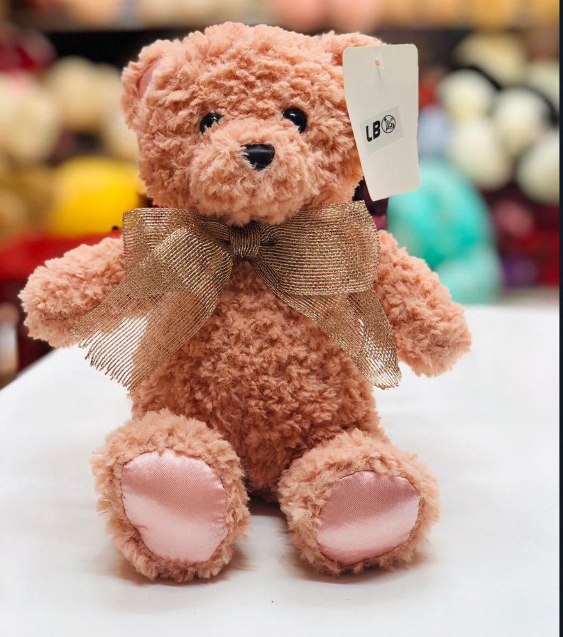 Winston Bear Plush