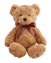 Winston Bear Plush