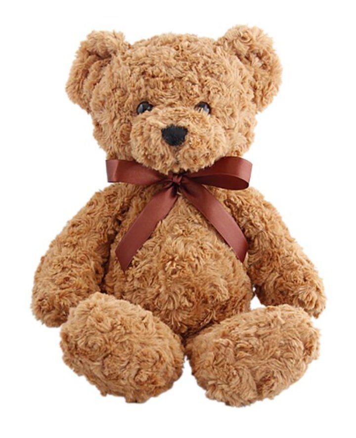 Winston Bear Plush